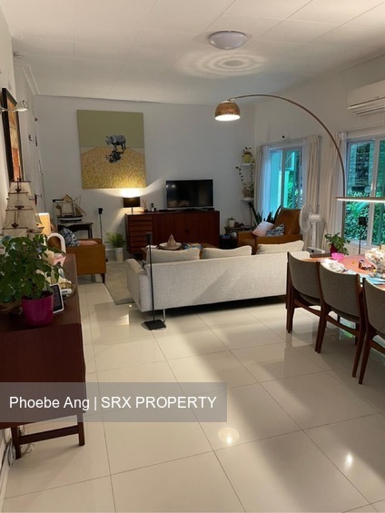 Raffles Park (D11), Detached #438559671